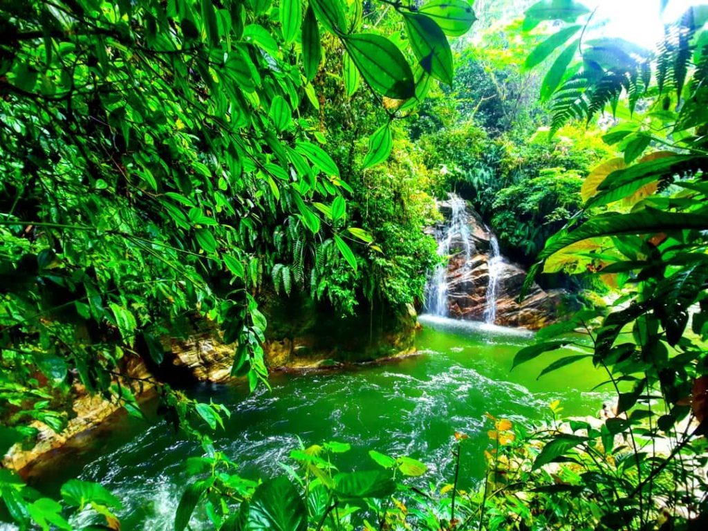 Río de Misahuallí en Napo